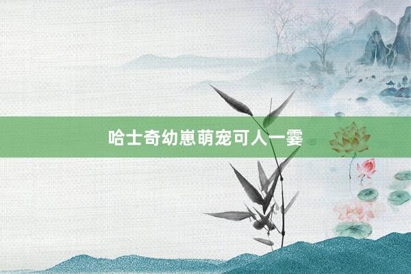 哈士奇幼崽萌宠可人一霎